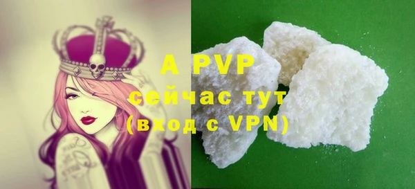 стафф Новокубанск