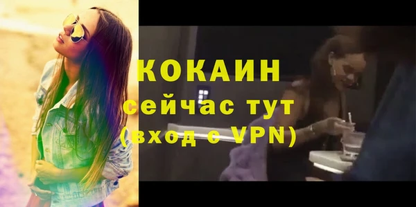 стафф Новокубанск