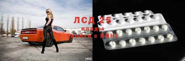 стафф Новокубанск