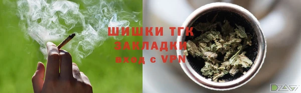 стафф Новокубанск