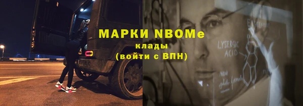 стафф Новокубанск