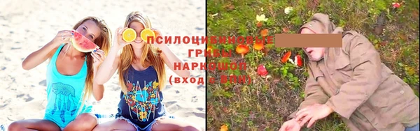 стафф Новокубанск