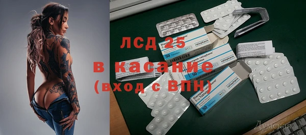 стафф Новокубанск